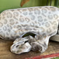"cat nap" grey and white leopard silky satin eye mask and scrunchie set 