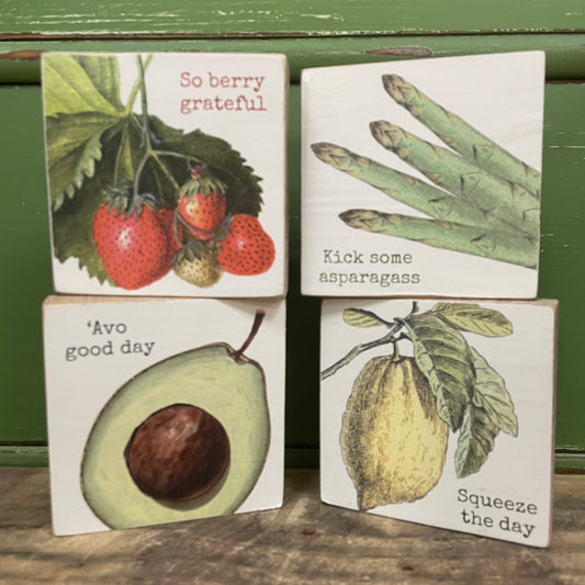 Punny Fruit/Veggie Small Block Signs