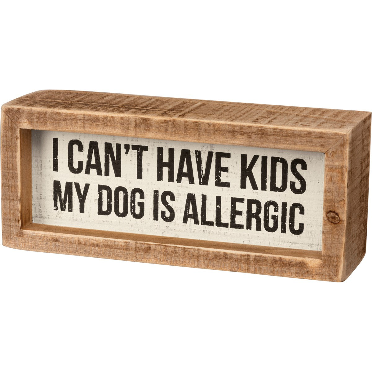 'I Can't Have Kids My Dog Is Allergic' Box Sign